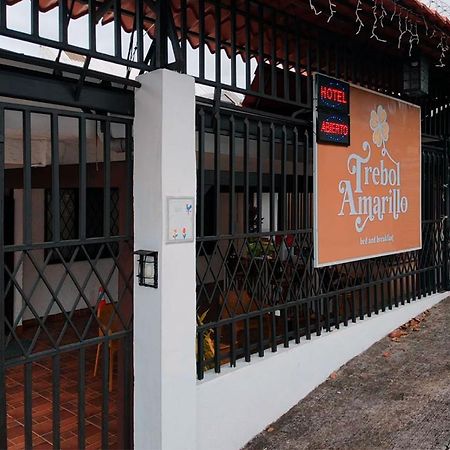 Trebol Amarillo Bed&Breakfast Escazú Esterno foto